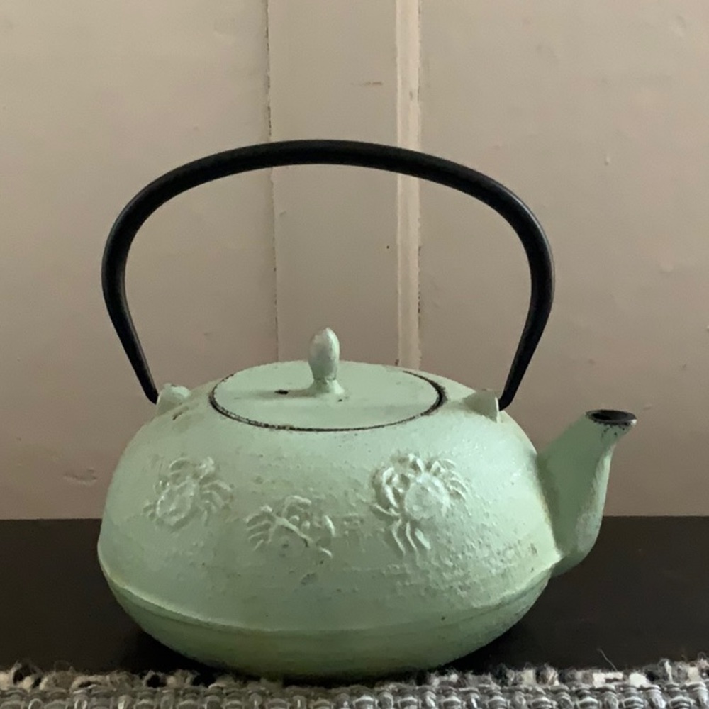 ANTIQUE Japanese Cast Iron Tea Kettle